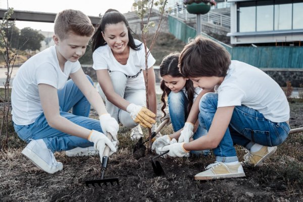 Niños plantando arboles